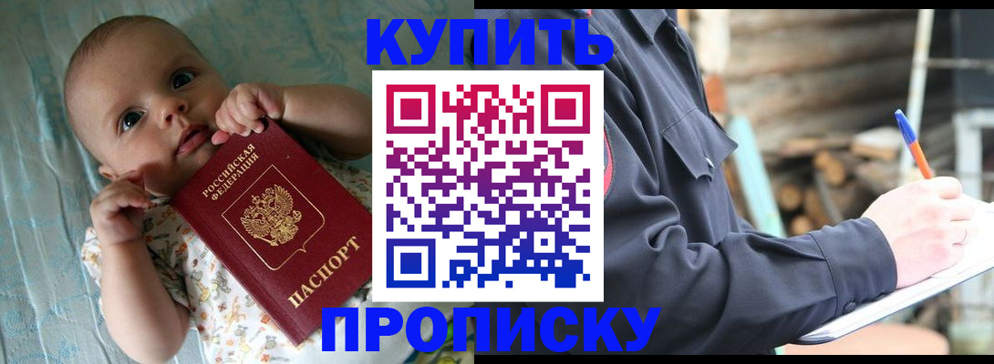 прописка поиск в Купино