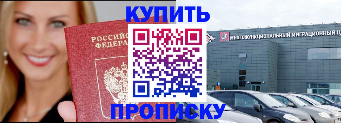 прописка поиск в Купино